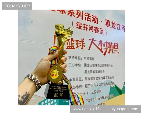 篮球在中国家庭多孩结构中的活动组织特点，篮球在我国的地位